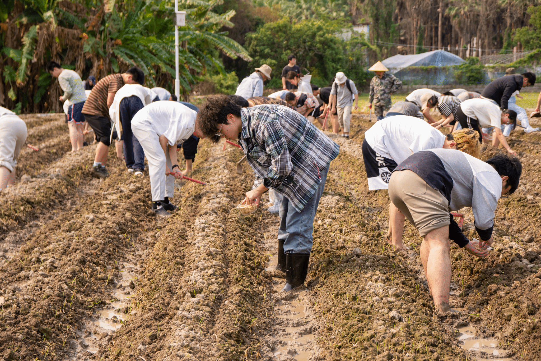 生命科学学院开展劳动教育主题实践活动